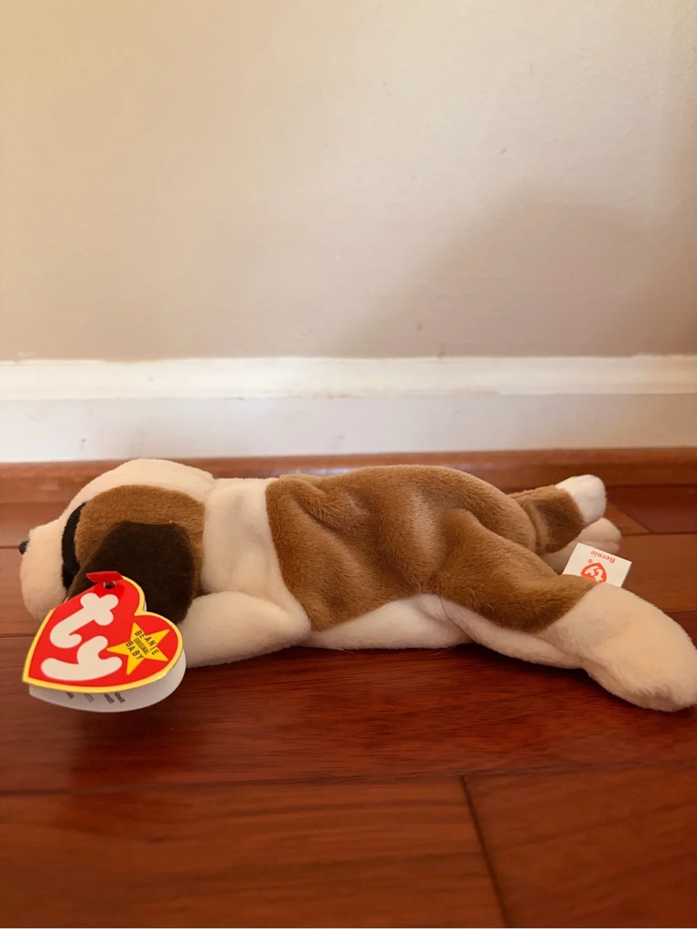 “Bernie” Beanie Baby